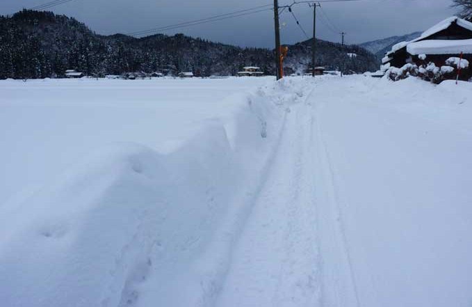 秋田市上新城の冬の景色
